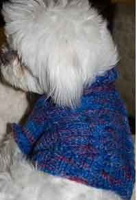 Chevron Dog Sweater