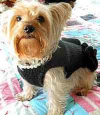 Little Black Dress - Dog Sweater