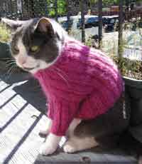 Long Sleeve Turtleneck Cat Sweater