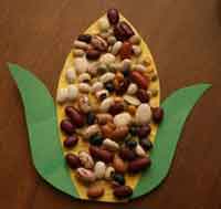 Dried Bean Indian Corn