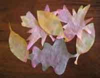 Tie Dyed Leaves