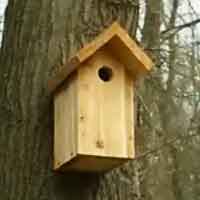 One Board Bird House