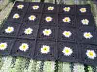 Daisy Square Blanket