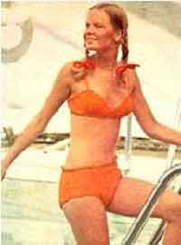 Beach Set, 1972 (Bathing Suit/Cover/Tote)
