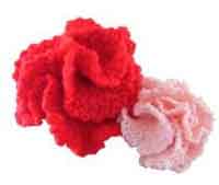 Crochet Carnations