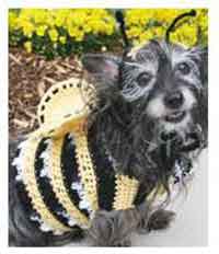 Dogs Bumble Bee Costume