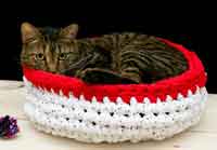 Crocheted Cat Bed