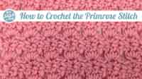  How To Crochet The Primrose Stitch 