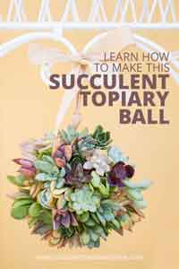 How to Make a Succulent Ball Topiary