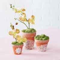 Free Floral Crafts at Michaels.com