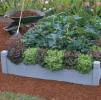 Building a Raised Bed pdf 
