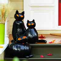 Black Cat o Lanterns