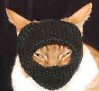 knitting for cats