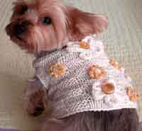 Easy knit dog sweater pattern free uk