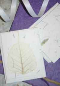 Homemade Plantable Paper 