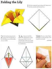 How to fold an origami lily