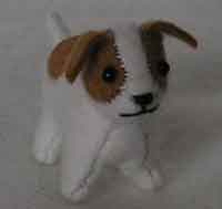 Tiny Jack Russel Terrier