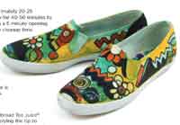 Artists Canvas Painted Shoes 