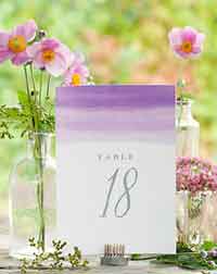 Color Wash Table Numbers