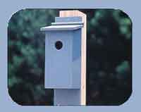 Bluebird Nesting Box Project