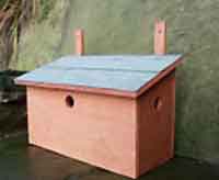 Box for House Sparrows
