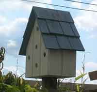 How to Build a Wood Bird House