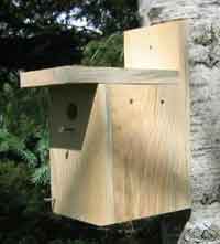 Simple Bird House Plan