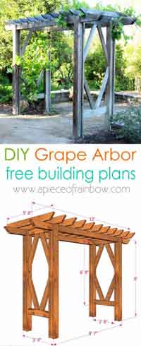 DIY Grape Arbor