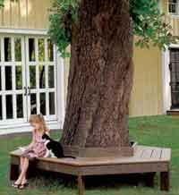 Tree Bench